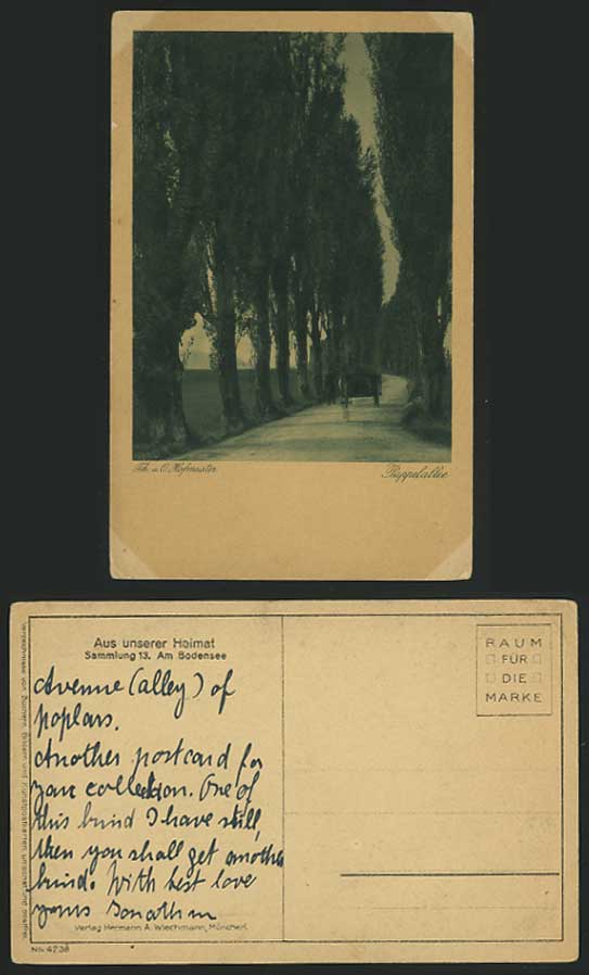 Germany Old Postcard Aus Heimat PAPPELALLEE Am Bodensee