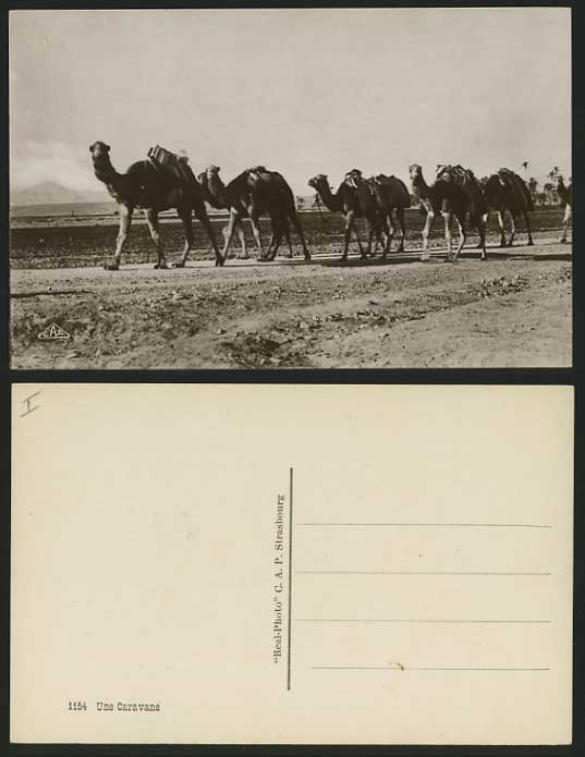 Camels Old R.P. Postcard - CAMEL CARAVAN - Une Caravane