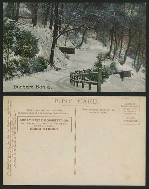 DURHAM BANKS Old Colour Postcard Winter Snowy Landscape