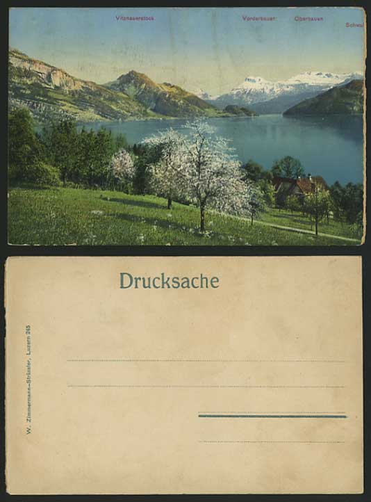 WEGGIS Old Postcard Vitznauerstock Vorderbauer Oberbaue