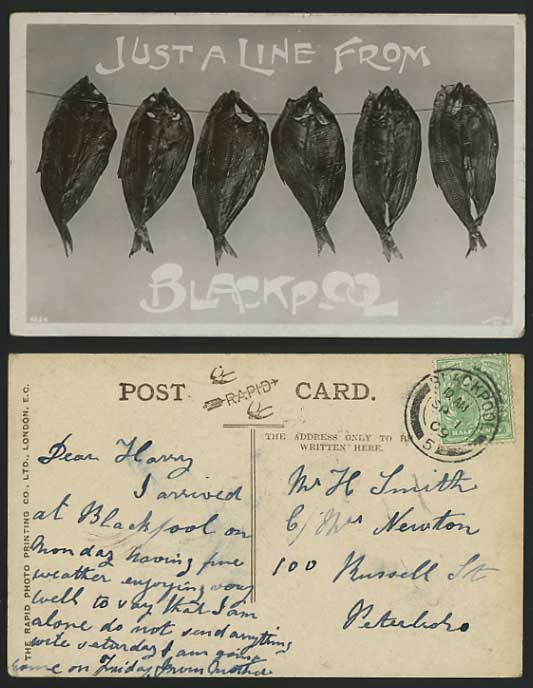 FISH Just a Line from BLACKPOOL 1909 Old R.P. Postcard