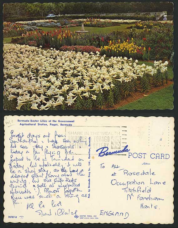 BERMUDA Old Postcard East Lilies - Agricultural Station