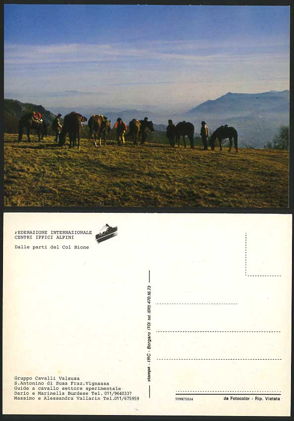 HORSES Bione Valsusa S. Antonino Fraz Vignassa Postcard