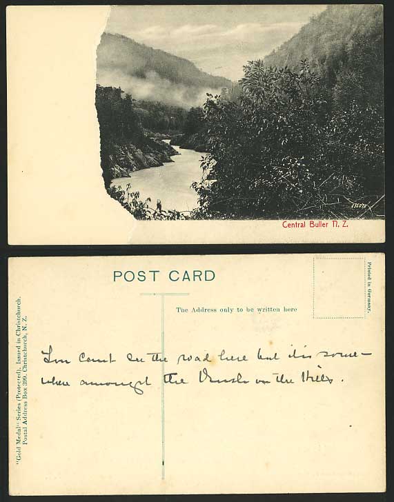 New Zealand Old Postcard Panorama River CENTRAL BULLER