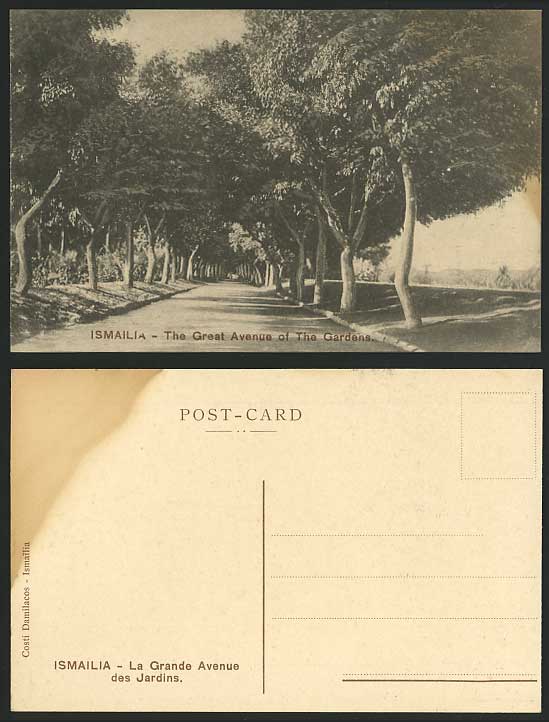 Egypt Old Postcard ISMAILIA Great Avenue of The Gardens