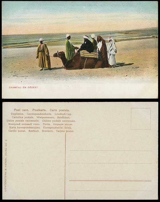 Egypt CAMEL Desert Old Color Postcard Chameau en Desert