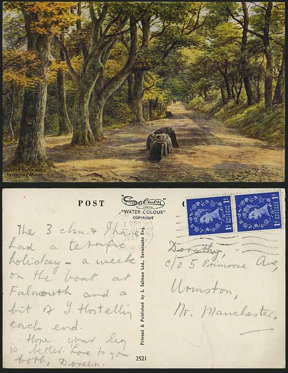 ARQ WESTON-SUPER-MARE 1957 Old Postcard Kewstoke Woods