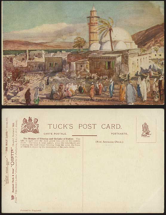 MOSQUE TIBERIAS Galilee Lake Old Tucks Oilette Postcard Palestine Israel