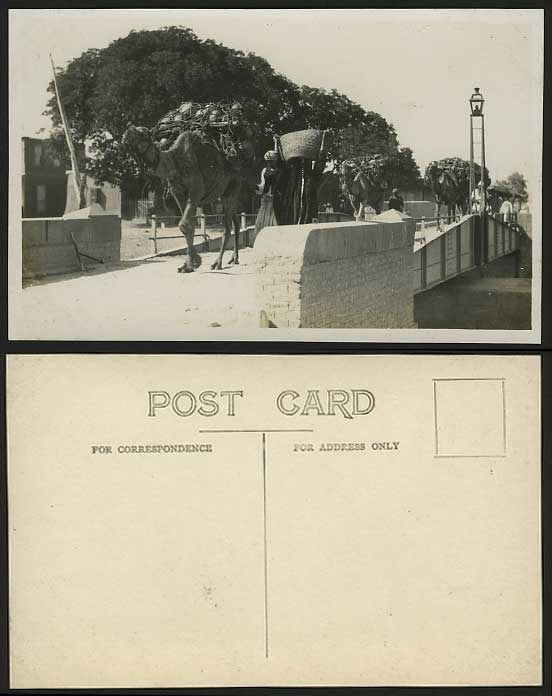 Egypt Old RP Postcard Camels & Natives Crossing BRIDGE