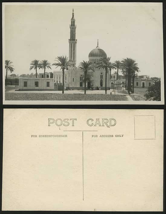 Egypt Old R.P. Postcard Palm Trees Egypitan MOSQUE View