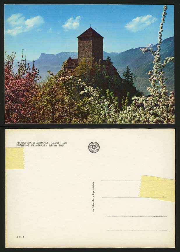 Italy South Tyrol Postcard MERANO Schloss Castle Tirolo