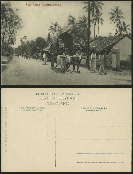 Ceylon Old Postcard Road Scene COLPETTY Colombo Cattle Bullock Cart
