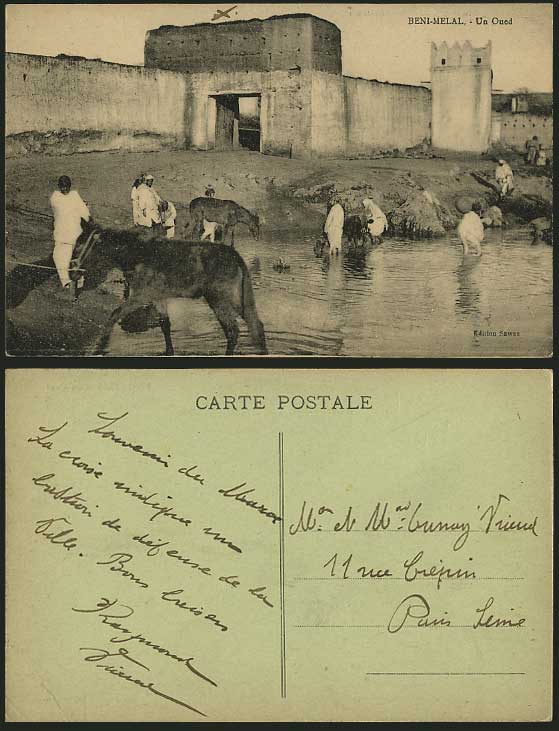 Morocco Old Postcard BENI MELAL Un Oued Donkey & Horse