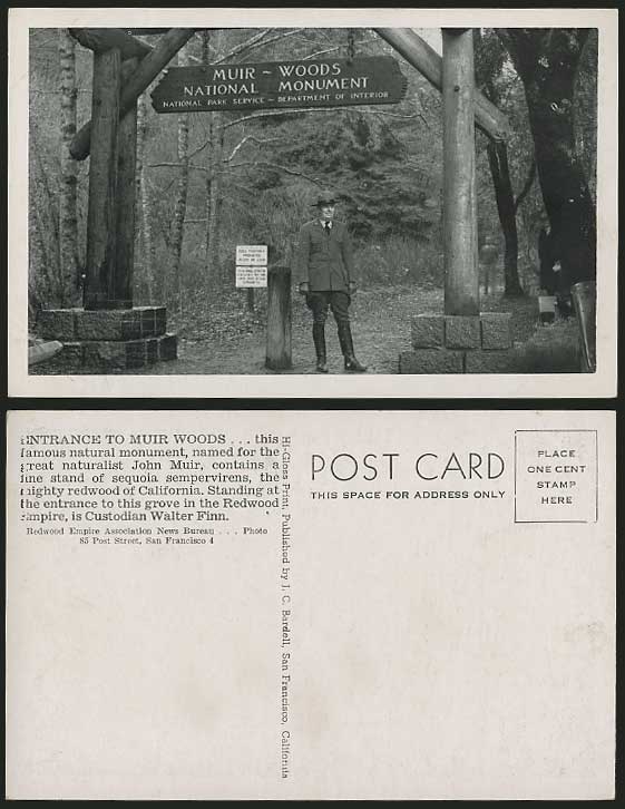 USA Old Postcard Muir Woods National Monument C.W. Finn