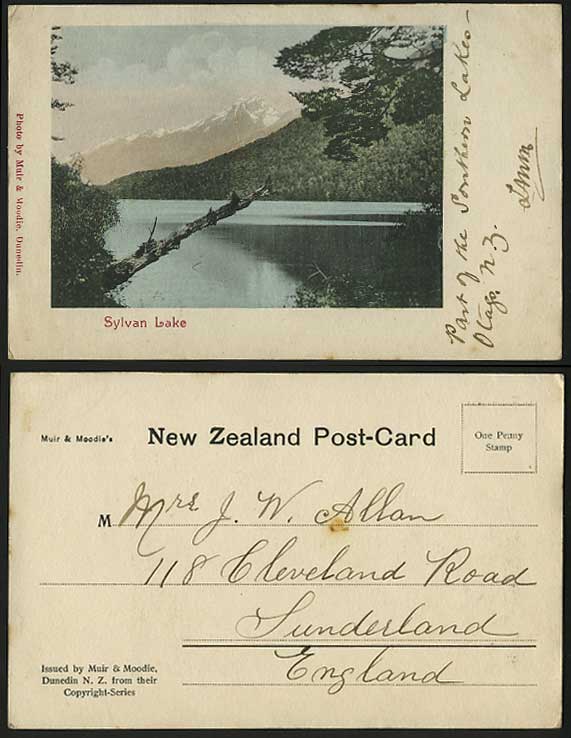 New Zealand Old U.B. Postcard SYLVAN LAKE near Paradise
