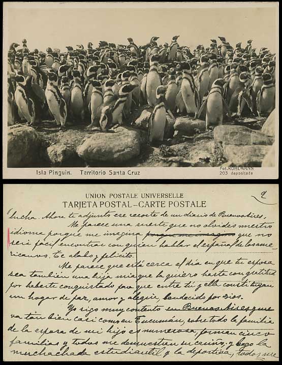 PENGUIN Old Postcard Isla Pinguin Territorio SANTA CRUZ