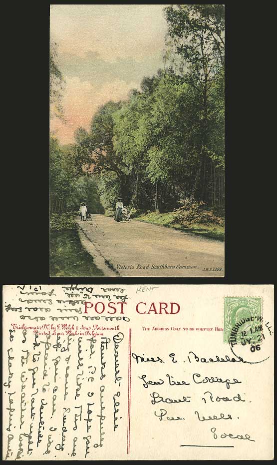 Southboro Common VICTORIA ROAD 1906 Postcard Girl & Dog