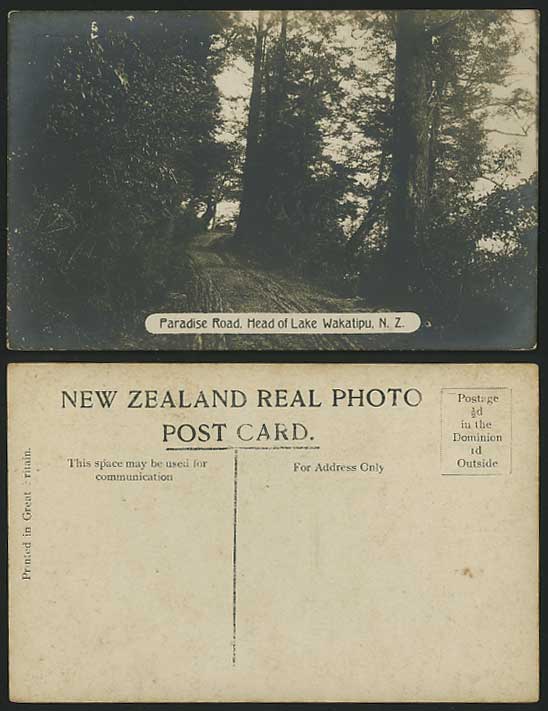 New Zealand Old RP Postcard Lake Wakatipu Paradise Road