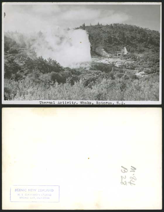 New Zealand Old Postcard Thermal Activity WHAKA Rotorua