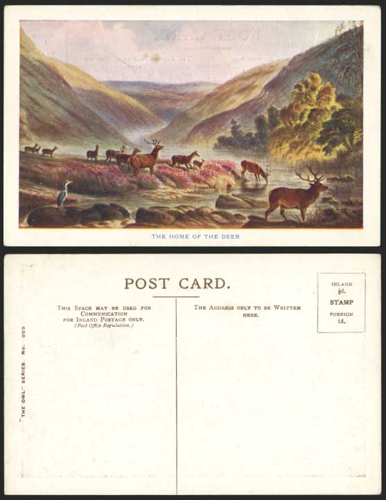 The Home of The Deer Bird River Art Drawn Old Postcard