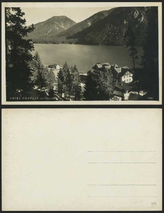 Austria Tyrol Old R.P. Postcard HOTEL FORELLE - PLANSEE