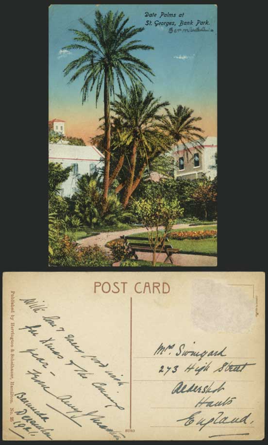 Bermuda 1921 Postcard Date Palms St. Georges, Bank Park