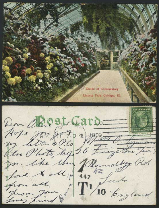 Postage Due 1d 447 T 1/10 Chicago US 1909 Postcard Lincoln Park Ill Conservatory