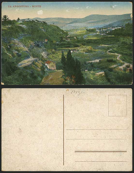 Argentina Old Postcard - La Angostura - Monte, Panorama