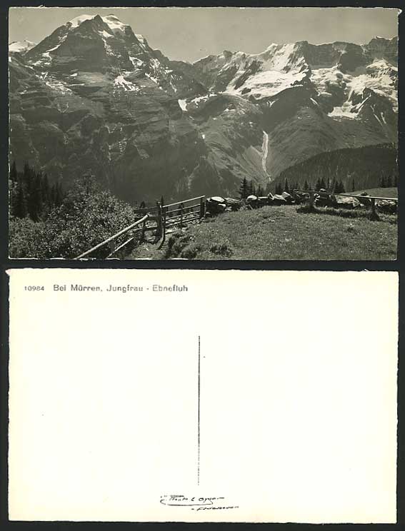 Swiss Old Postcard Bei Murren Muerren Jungfrau Ebnefluh