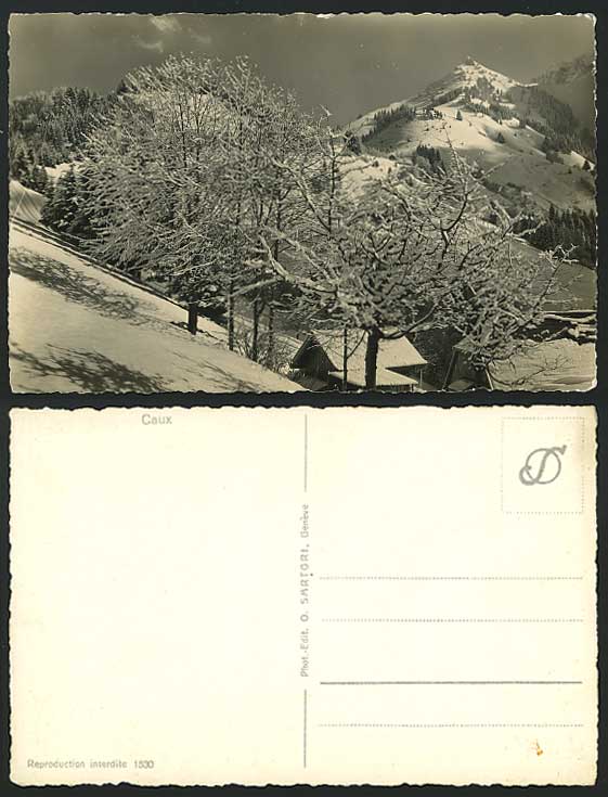 Swiss Old Postcard CAUX Snowy Mountains, Trees Panorama