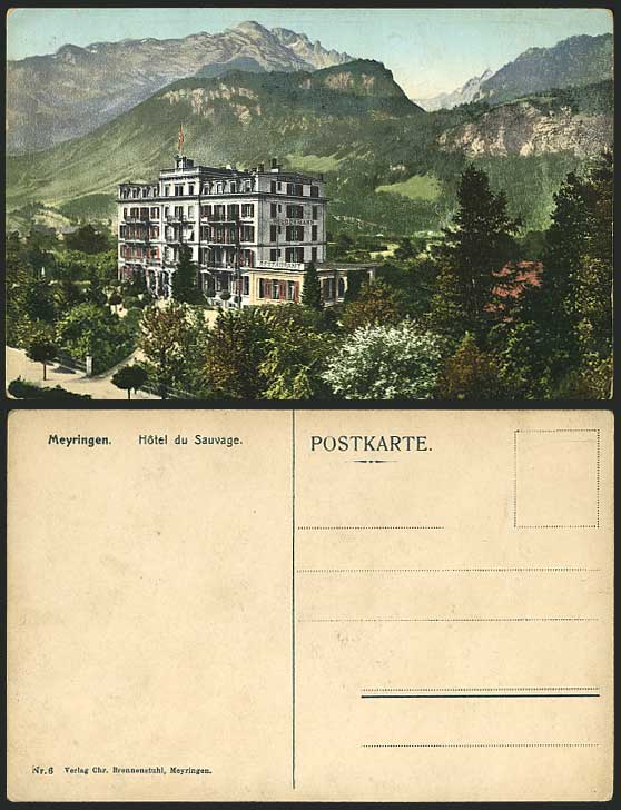 Swiss Old Colour Postcard Meyringen - Hotel du Sauvage