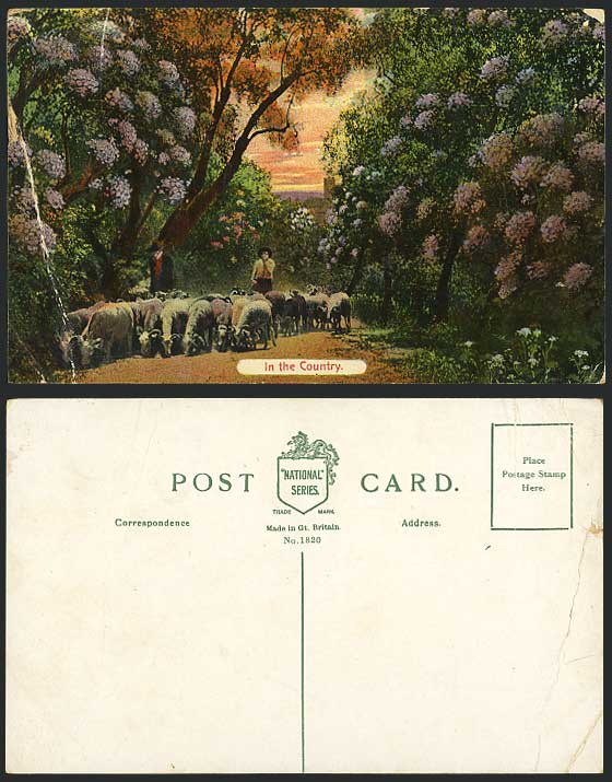 SHEPHERD SHEEP In the Country Sunset Old Color Postcard