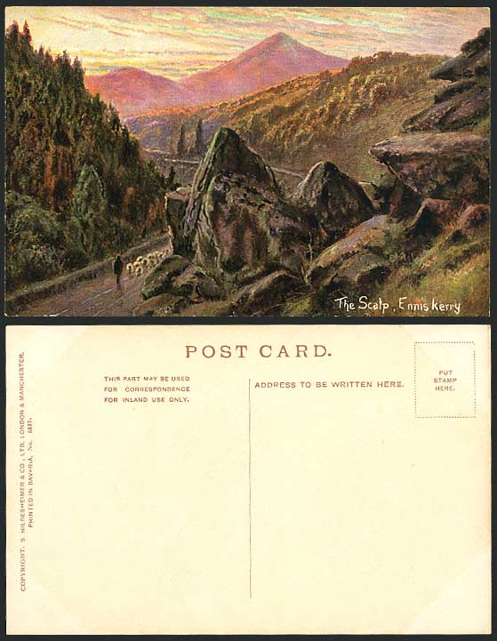Ireland Wicklow Old Postcard THE SCALP ENNISKERRY Sheep