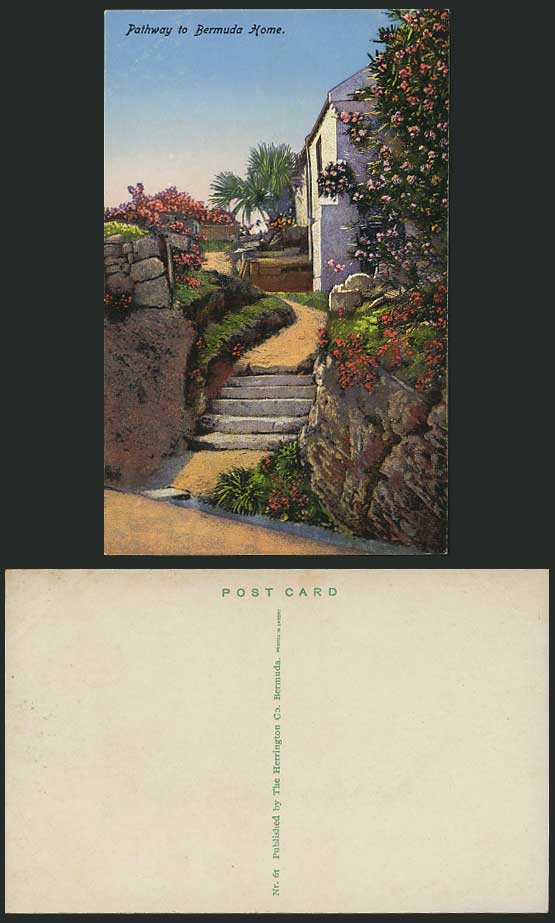 Bermuda Old Postcard Pathway to Bermuda Home Cottage Flowers