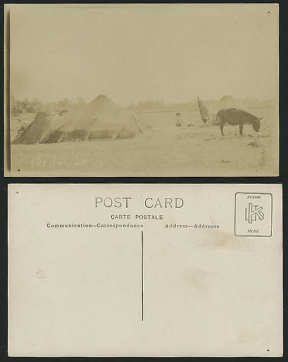 Ethnic - Bedouin Tents & Donkey Old Real Photo Postcard