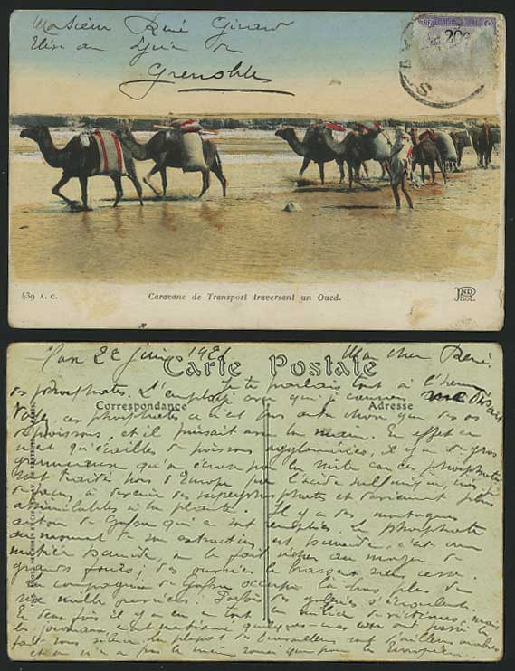 Tunisia 1921 Postcard Camel Caravan Cross River Camels