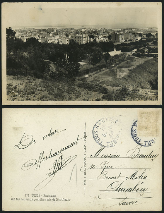 Tunis Panorama of Quarter from Montfleury 1947 Postcard