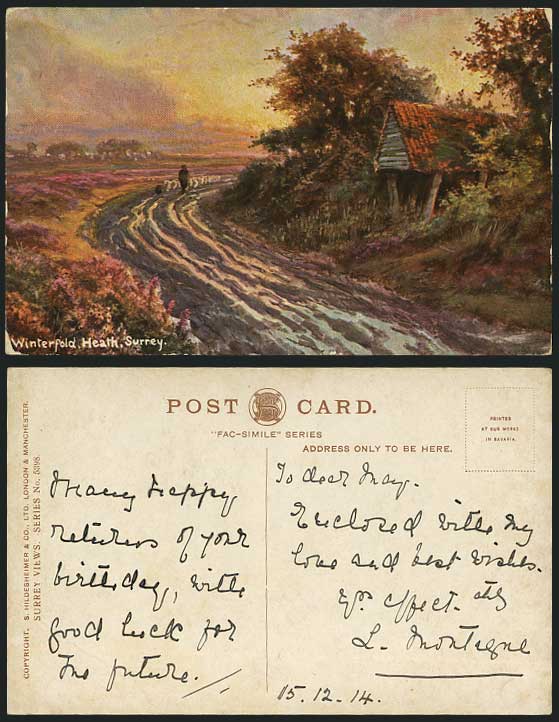 Winterfold Heath, Surrey 1914 Postcard Sheep & Shepherd