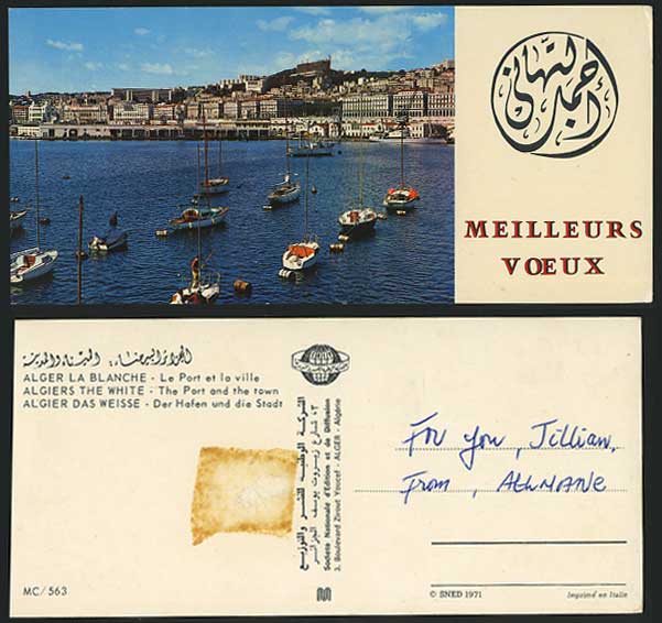 Algeria Algiers Alger The White Port and Town Postcard