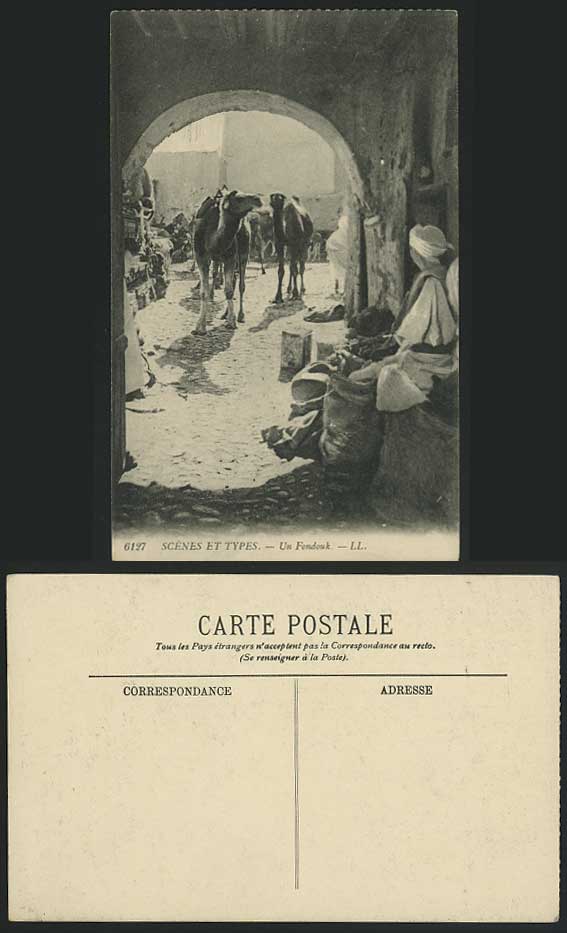 Algeria Old Postcard Scenes et Types, Un Fondouk Camels