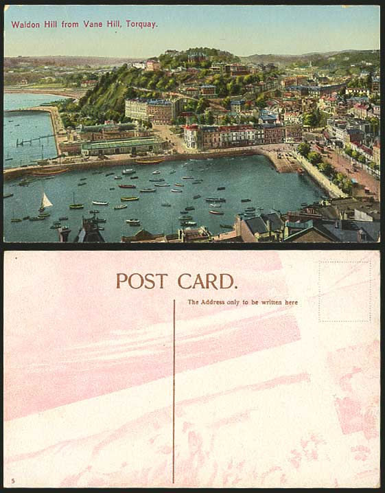 Torquay Harbour Old Postcard Waldon Hill from Vane Hill