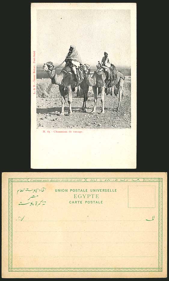 Egypt Old Postcard Chameaux Voyage, Camels Camel Riders
