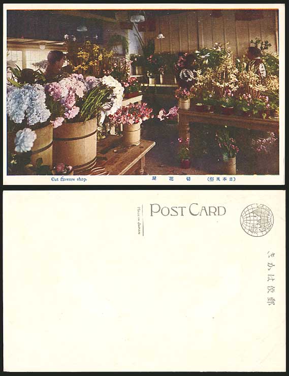 Japan CHRYSANTHEMUM Cut Flowers Shop Old Color Postcard