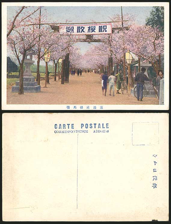 Japan Old Postcard Horse Race Course, Bicycle, Blossoms
