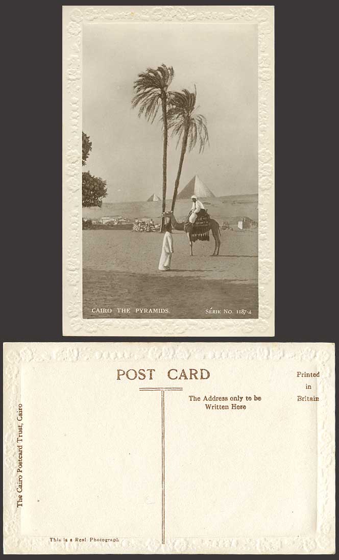 Egypt Old Embossed Postcard Cairo Pyramids Camel Rider Palm Trees, Real Photo