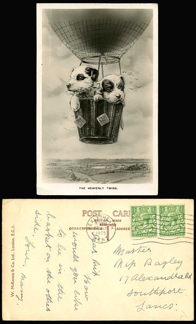 2 Dogs Puppies Puppy in Balloon, The Heavenly Twins 1935 Old Real Photo Postcard