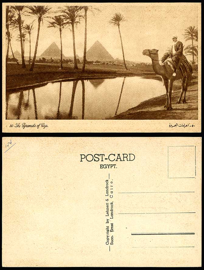 Egypt Old Postcard Cairo Pyramids of Giza A Camel Rider