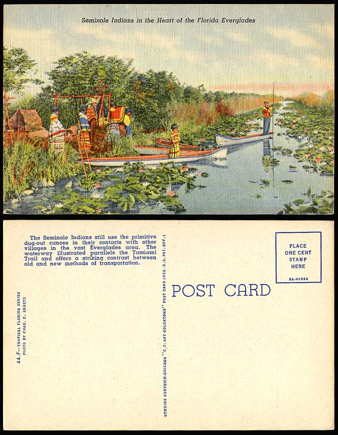 Seminole Indians Primitive Dug-Out Canoes Boats Everglades Waterway Old Postcard