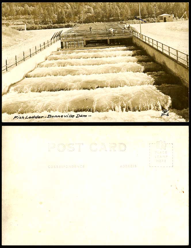 USA, FISH LADDER Bonneville Dam Columbia River Old RP Postcard Oregon Washington