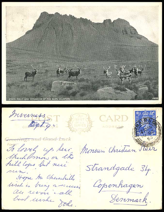 Stack Polly and Monarchs of The Glen, Stags ULLAPOOL 1950 Old Postcard Mountains